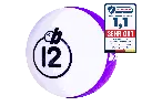 Billiard12 seal.webp