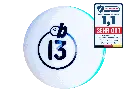 Billiard13 seal.webp