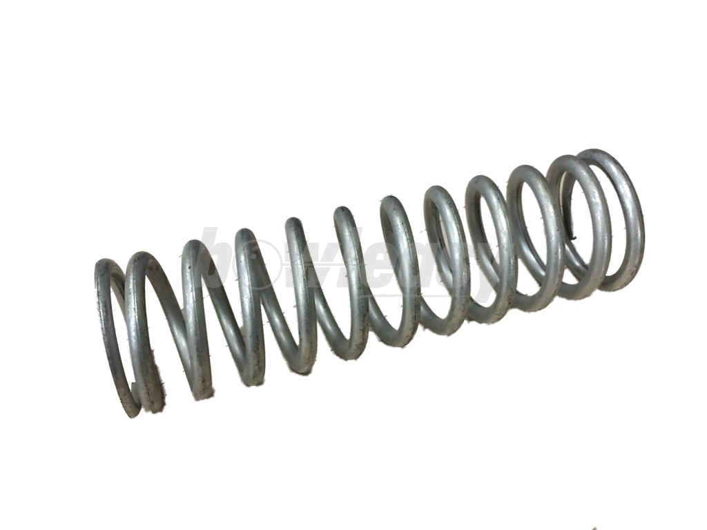 Cushion Spring