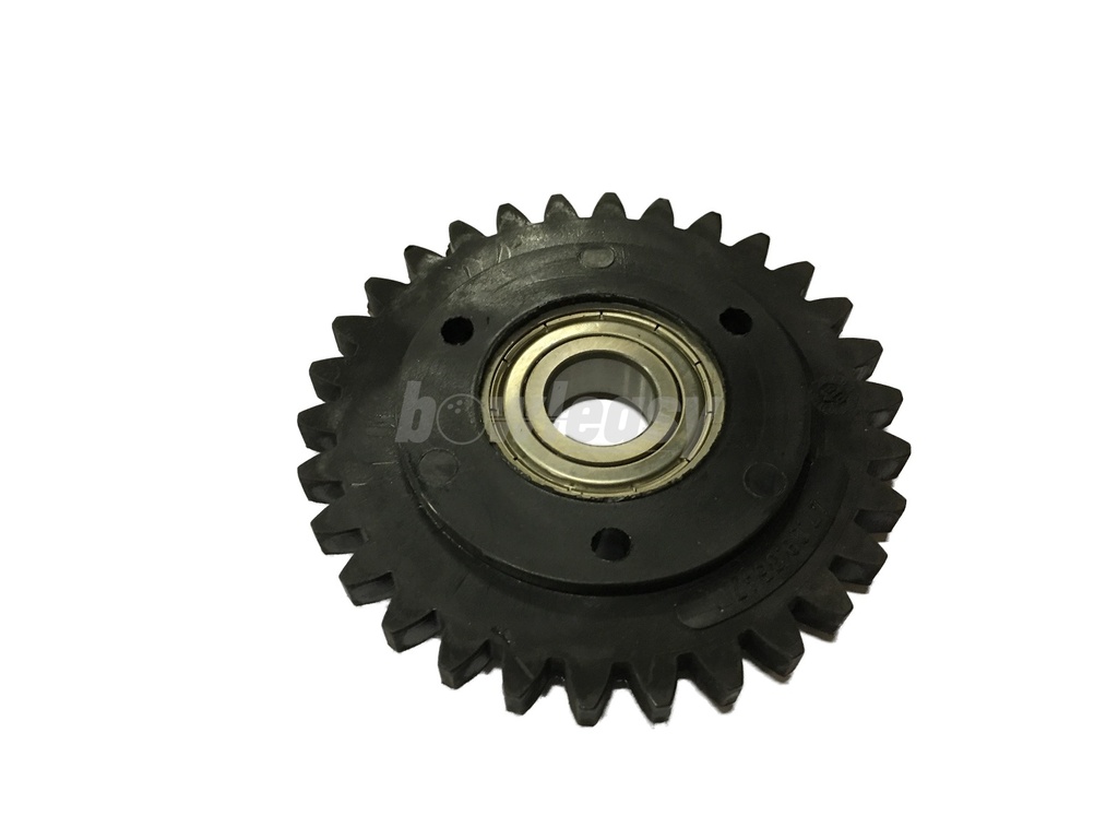 Spur Gear W/ Bearing