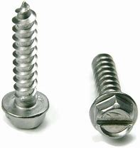 Slotted hex head screw (Bag of 10)