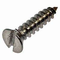 Self Tap Screw Pan head Slotted (Bag of 10)