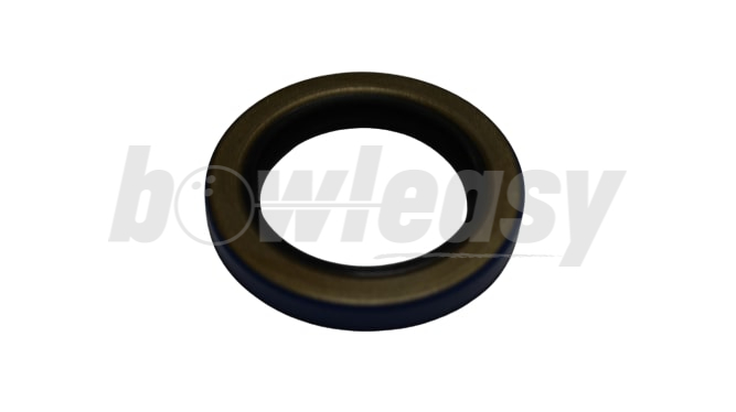 Oil Seal