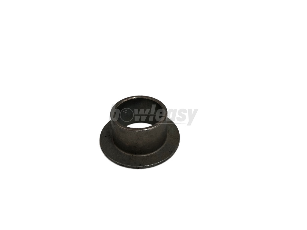 Flange Bearing