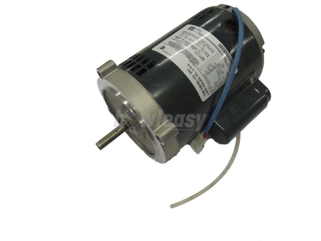 Buffer Motor Assembly (Ac) - Standard (230V-Ac Only)