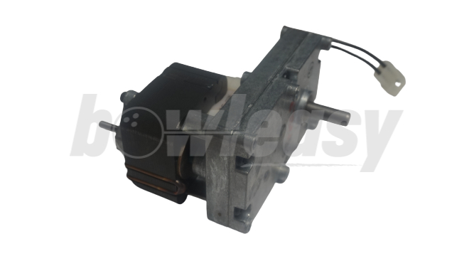 Transfer Motor Assembly (50 Rpm-230V Cw)