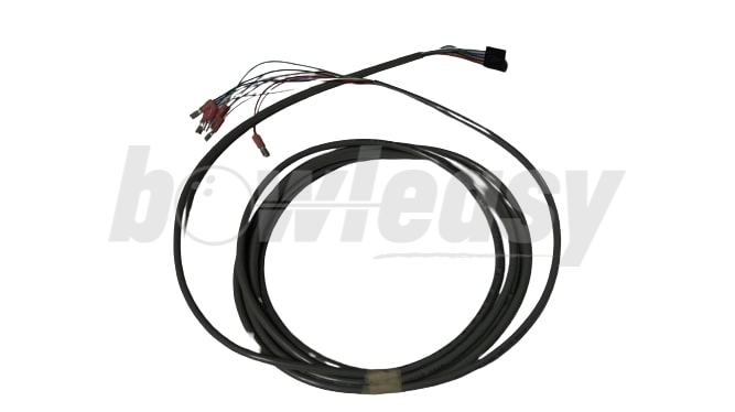 Cable