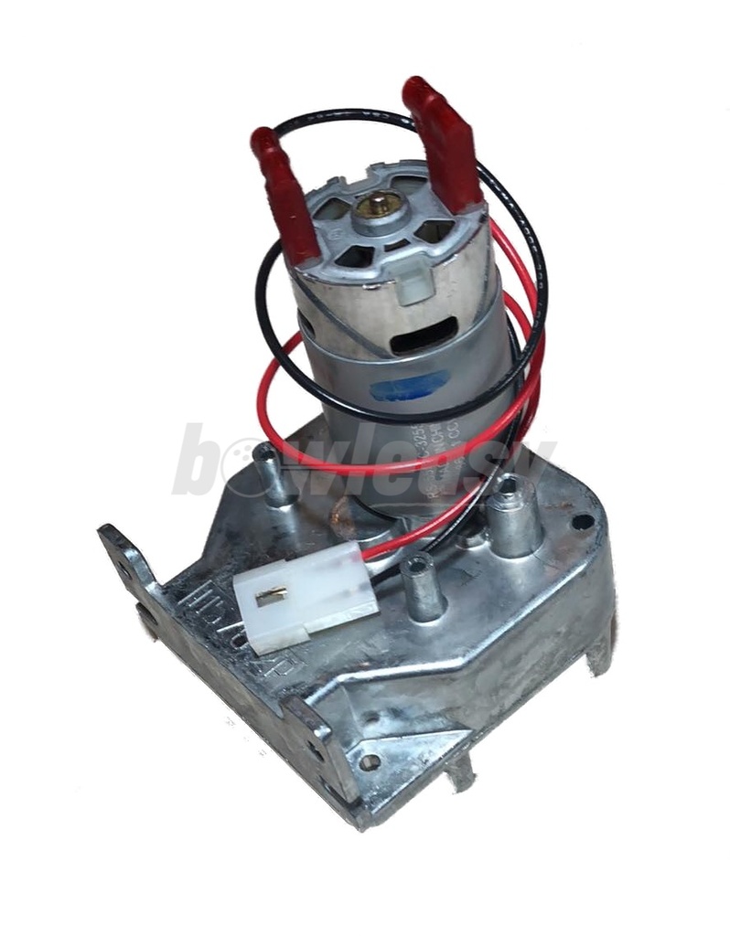 Cleaner Pump Motor Asm. (24V)