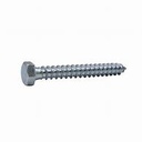 Lag Screw hex head (bag of 10)