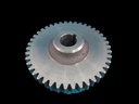 Spur Gear